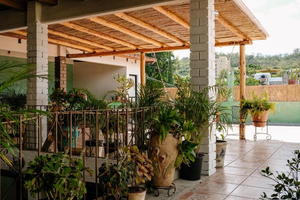 Sunshine House - Made By Artists Villa Oaxaca Dış mekan fotoğraf